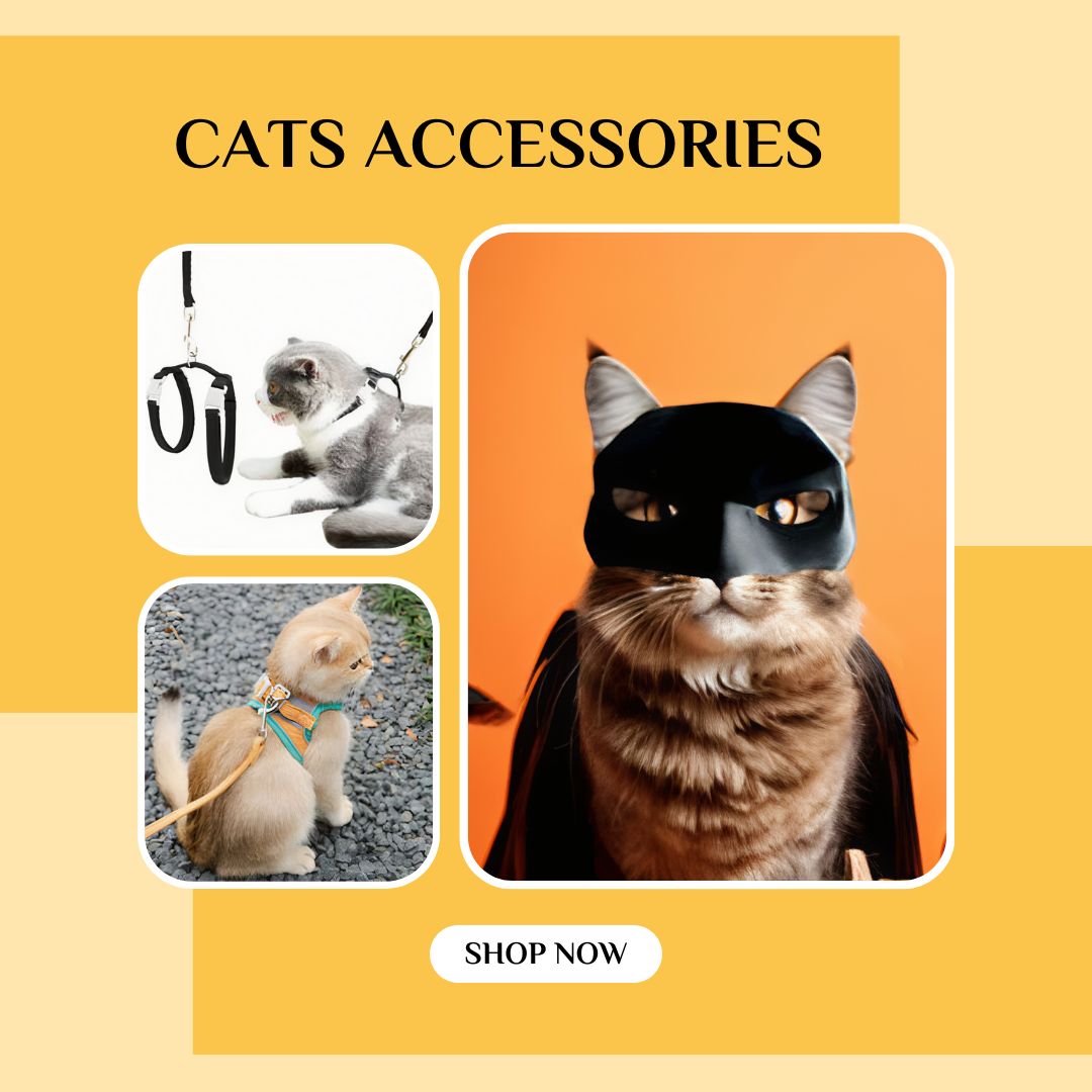 Cats Accessories