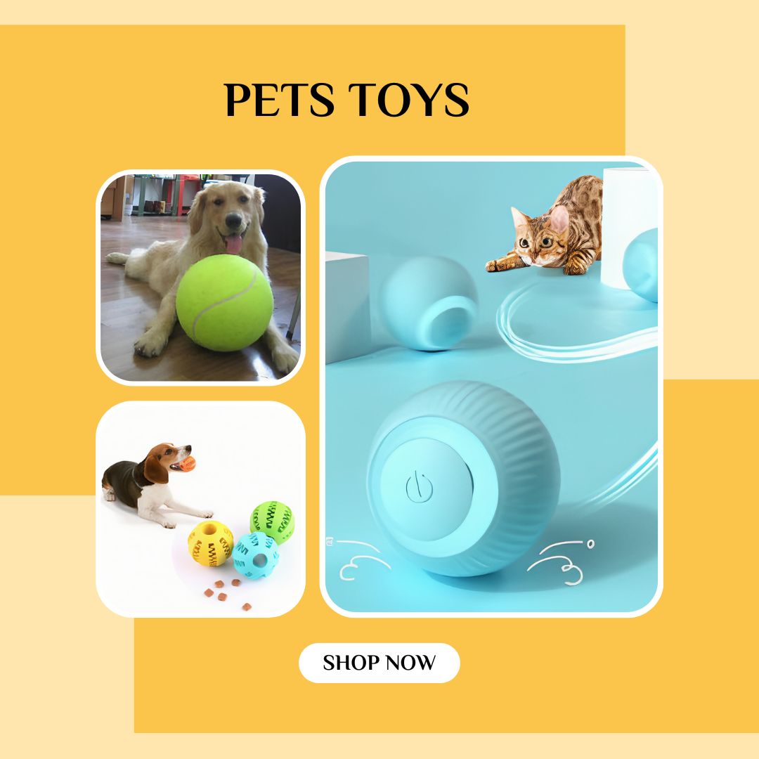 Pets Toys