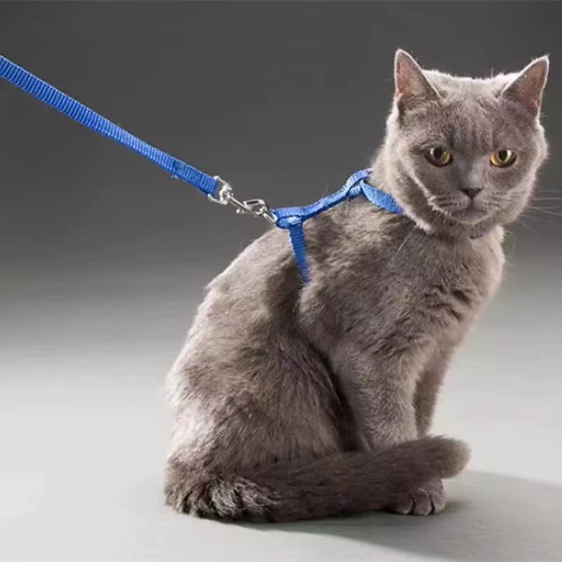 Dog Cat Collar Harness Leash Adjustable Nylon Pet Traction Cat Kitten Halter Collar Puppy Dog Cat Product Small Pet Harness Belt