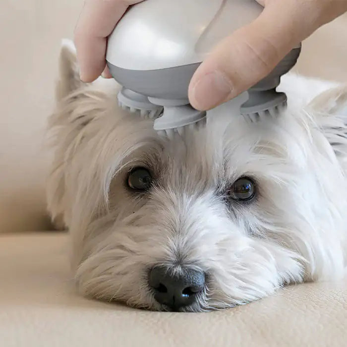 Electric Pets Massager