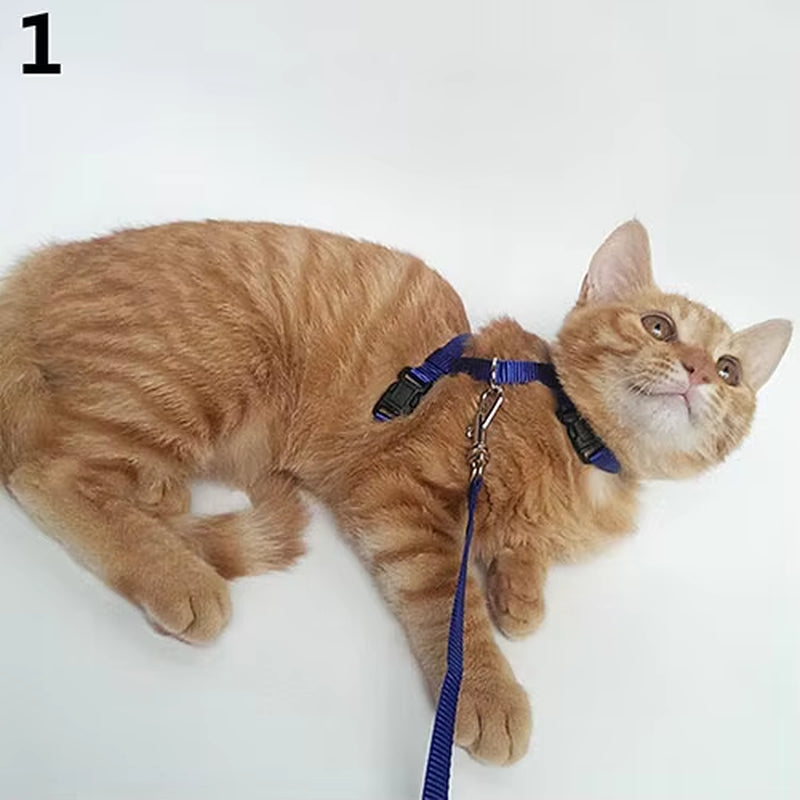 Dog Cat Collar Harness Leash Adjustable Nylon Pet Traction Cat Kitten Halter Collar Puppy Dog Cat Product Small Pet Harness Belt