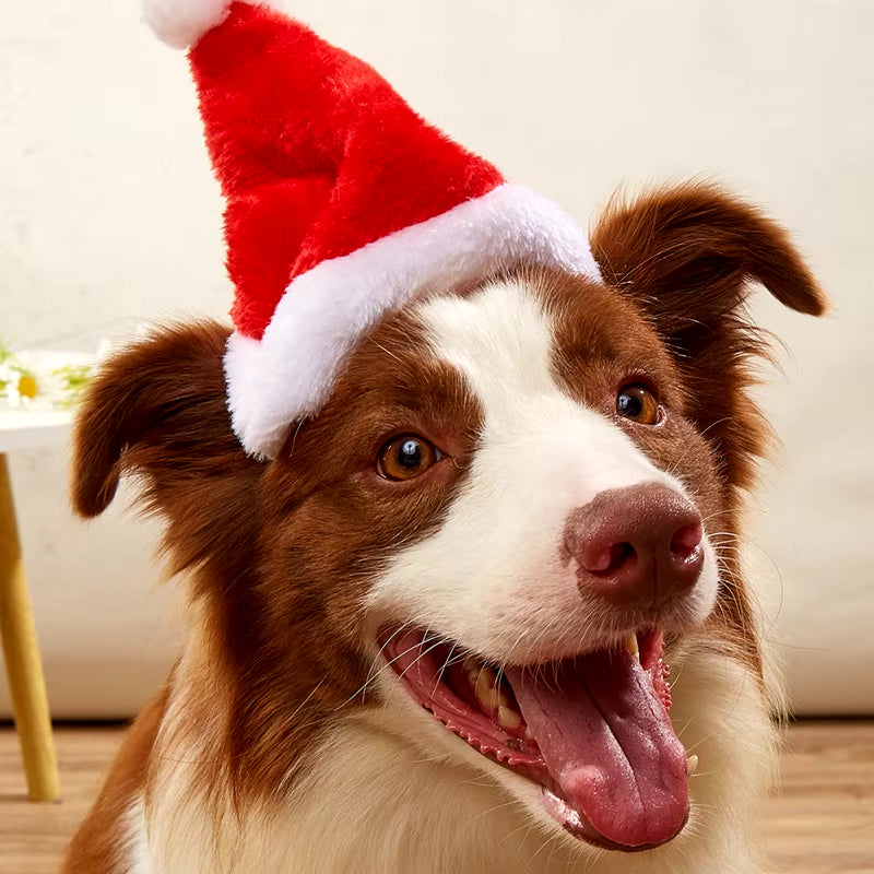 Adjustable 3D Christmas Pet Santa Hat