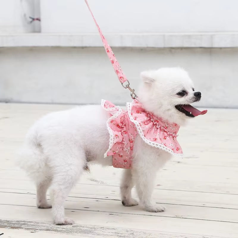 Dog Cat Harness Leash Set Adjustable Lace Floral Printed Pet Harness Vest Cute Dog Dress Pubby Mesh Harness Cat Walking Lead