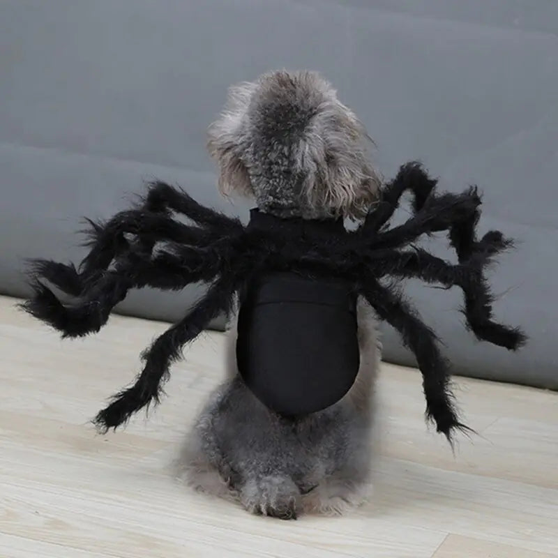 Halloween Spider Pets Costume