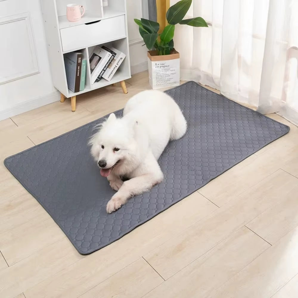 Reusable Dog Pee Pad Blanket Dog Urine Pads Absorbent Diaper Puppy Training Pad Pets Bed for Pet Car Seat Cover Pet Supplies