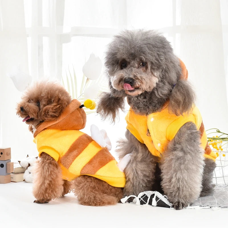 yellow bee dog costume jacket