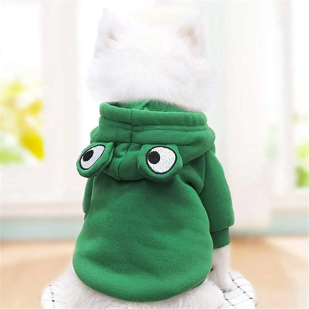 adorable frog hoodie