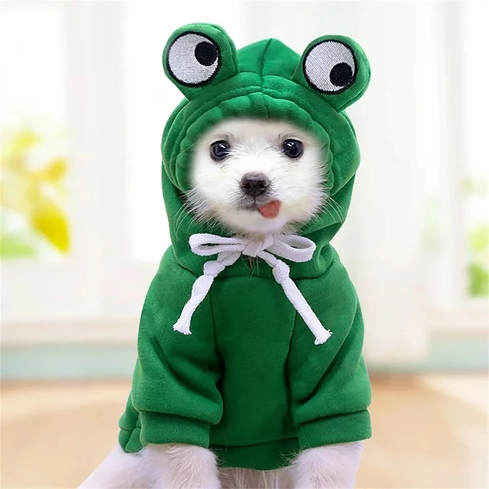 adorable frog hoodie