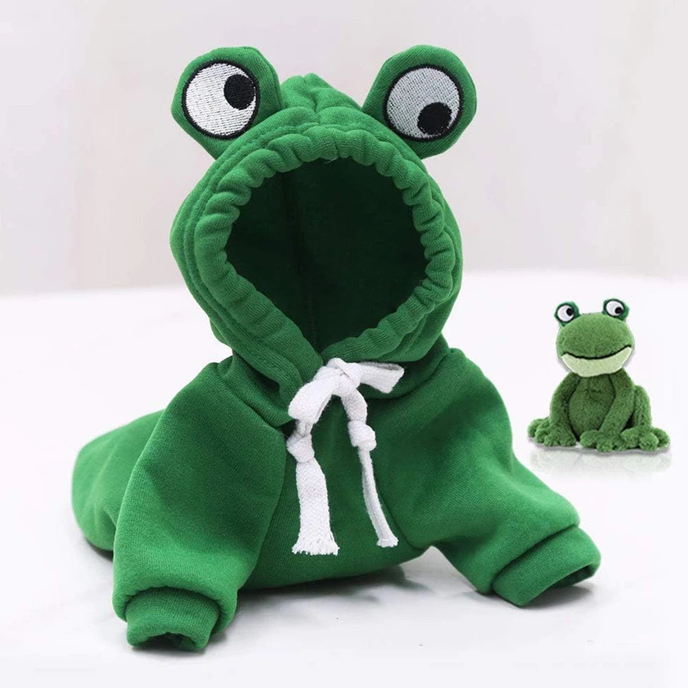 adorable frog hoodie