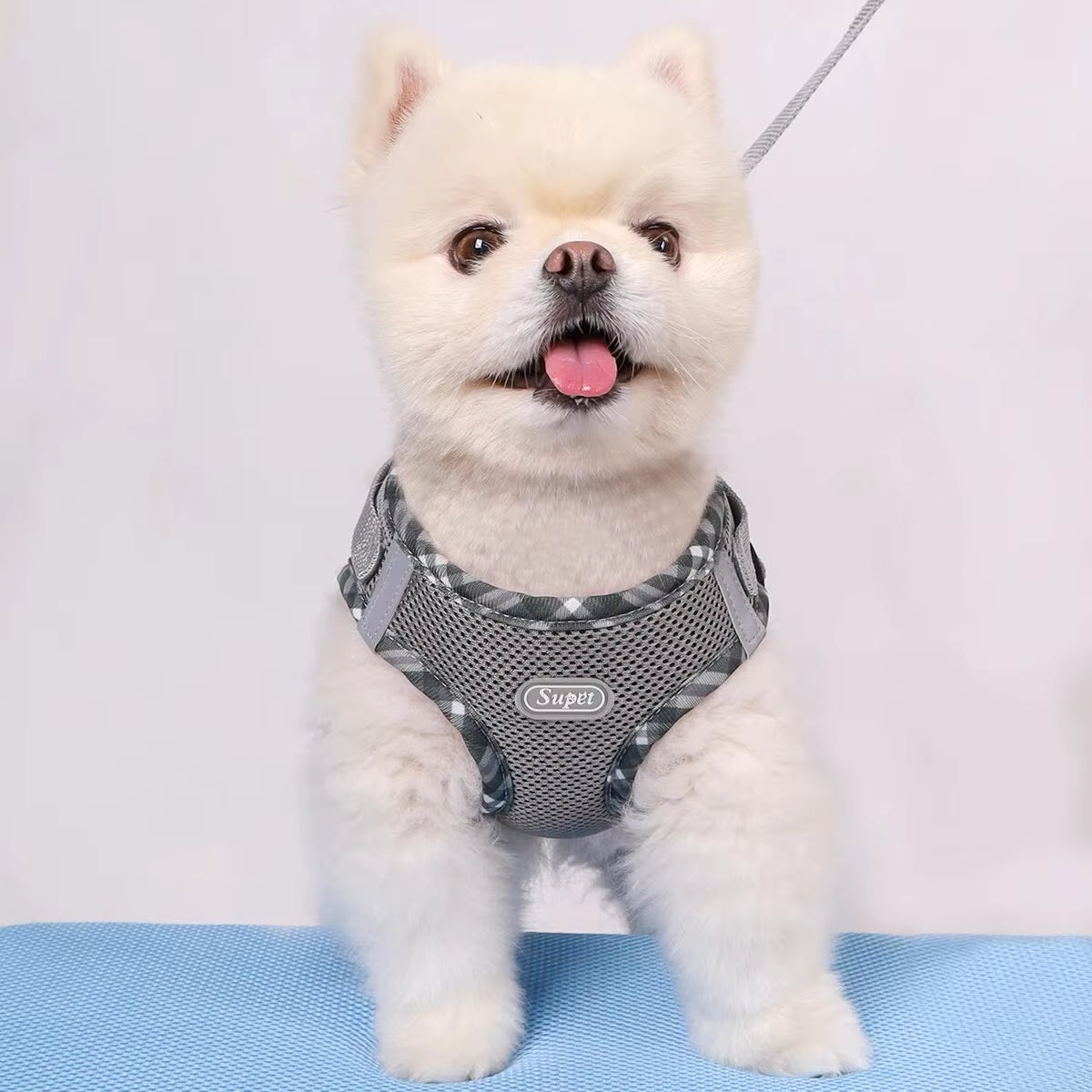 1Pc Dog Harness, Anti-Pull, Pet Harness, Adjustable, Easy to Control, Suitable for Small, Medium Dogs