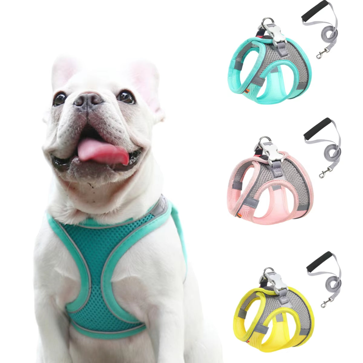 Dog Cat Harness Lead Leash Set Reflective Breathable Adjustable Pet Harness Small Medium Dog Walking Training Dog Accessories