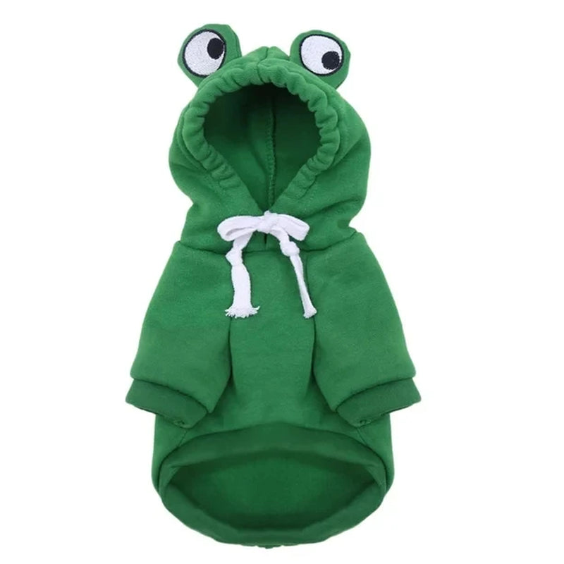 adorable frog hoodie