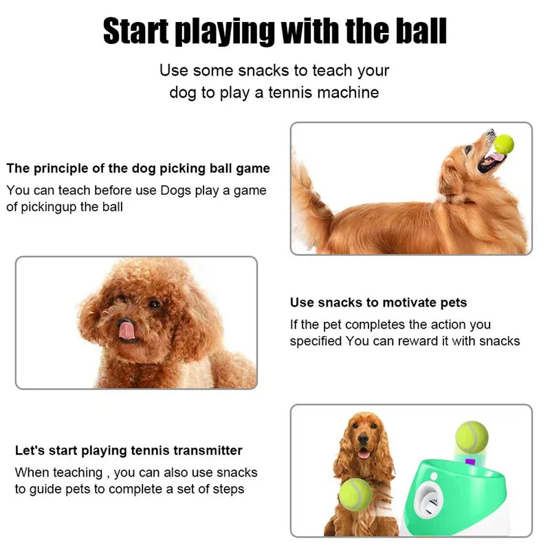 Automatic Dog Tennis Ball Launcher