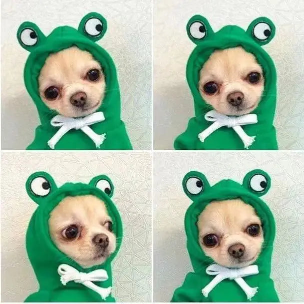 adorable frog hoodie