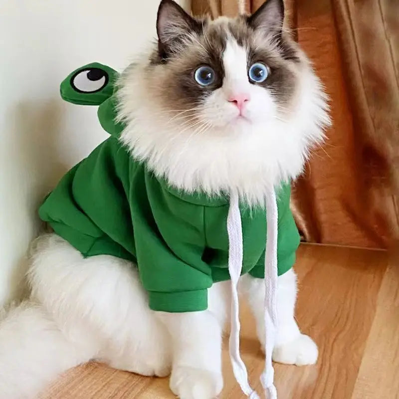 adorable frog hoodie