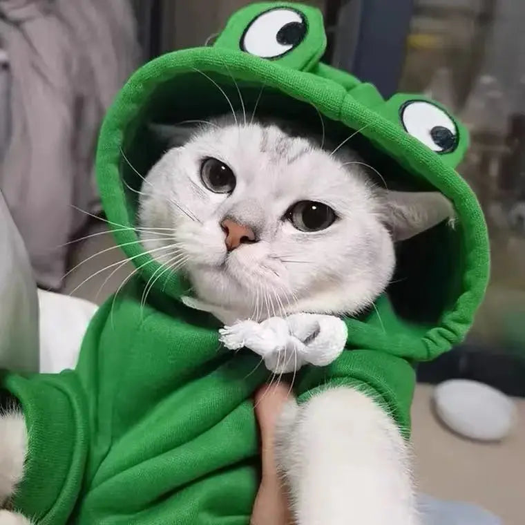 adorable frog hoodie