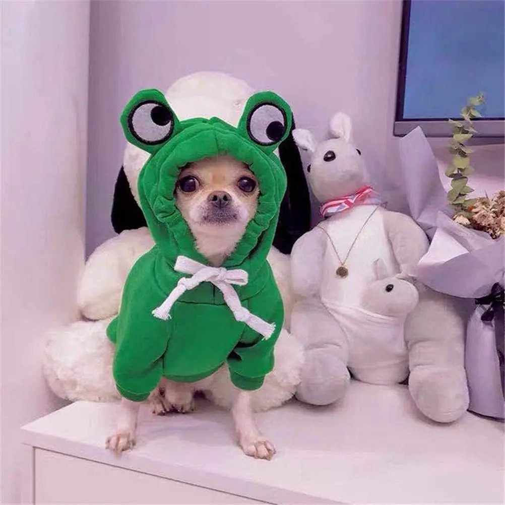 adorable frog hoodie