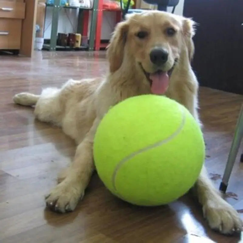 giant dog tennis ball chew toy