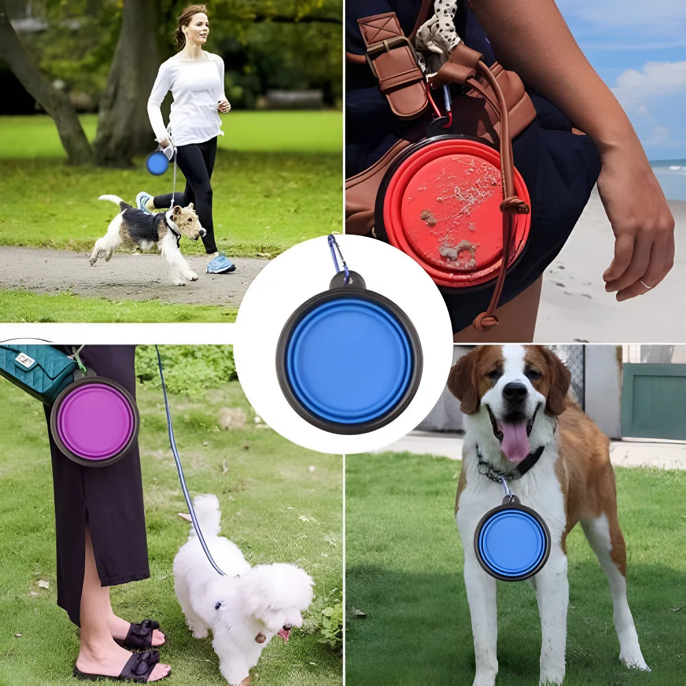 collapsible silicone dog bowl