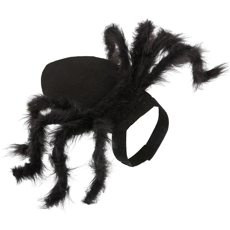 Halloween Spider Pets Costume