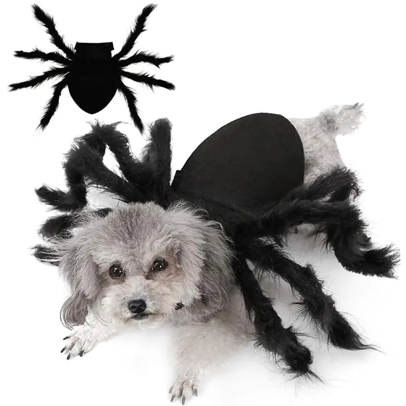 Halloween Spider Pets Costume