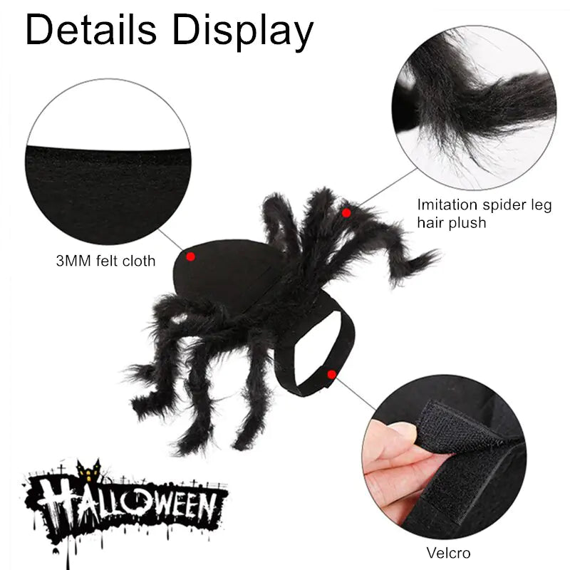 Halloween Spider Pets Costume