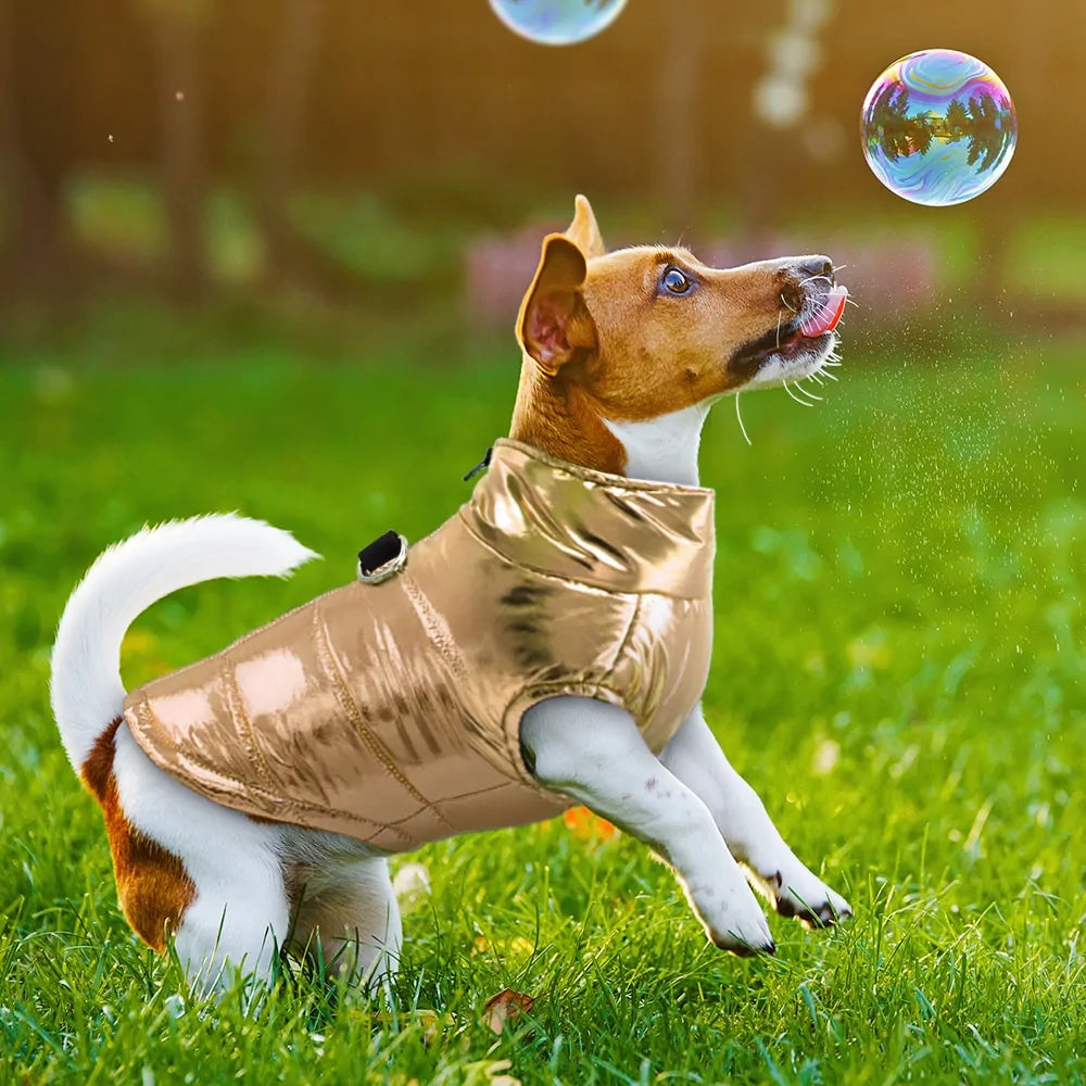 Waterproof Small Dog Clothes